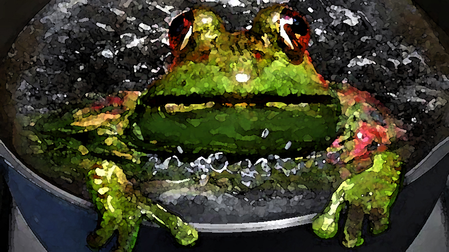 Boiling a Frog: The Death of Democracy by Degrees