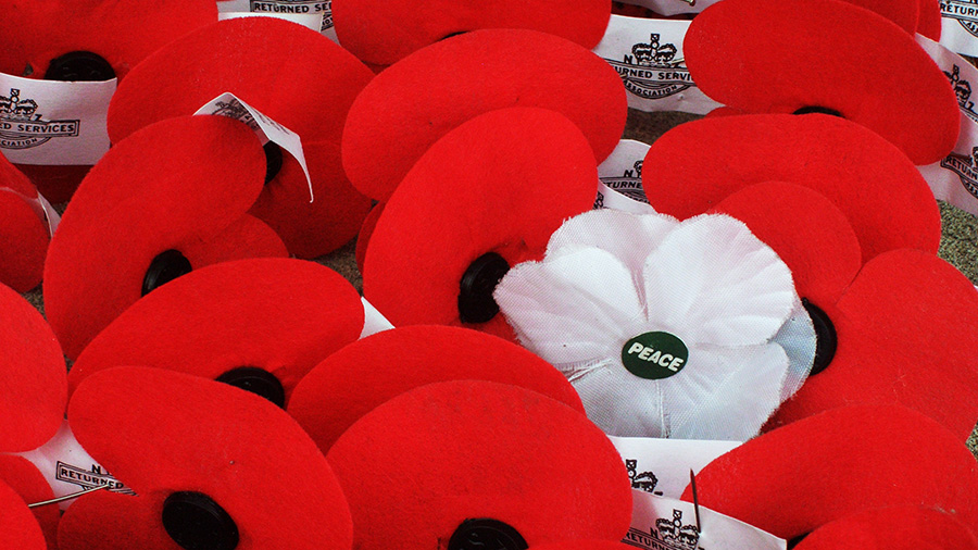 The White Poppy
