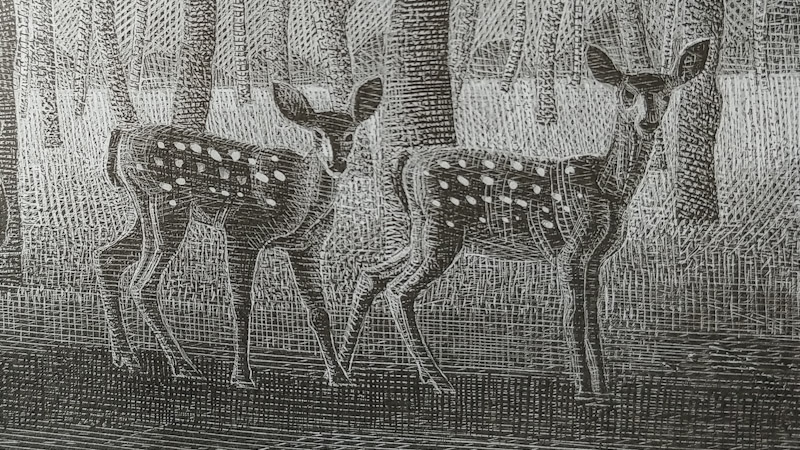 The Shadow of the Gun: Felix Salten’s Dark Warning in a New Translation of Bambi