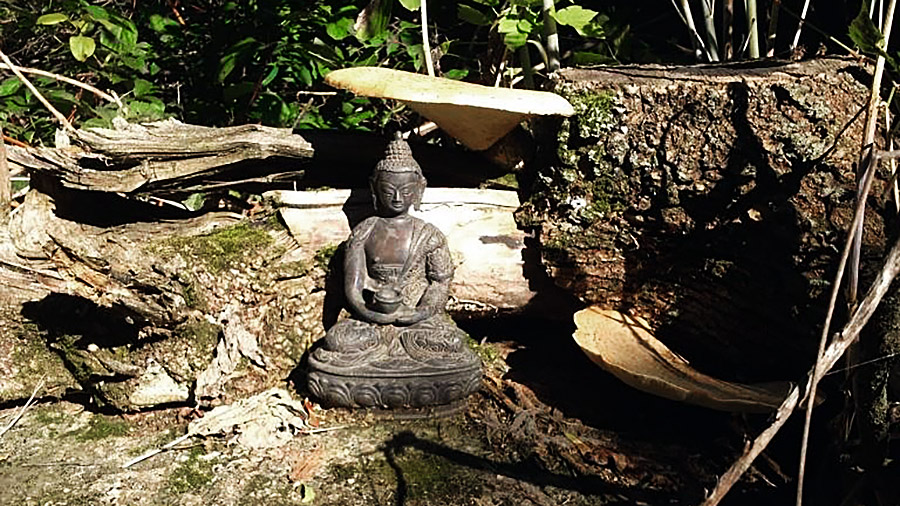 Buddha in the Garden: Remembering Bob Hogg