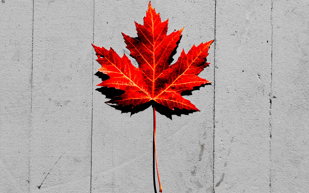 Showing My ColOUrs