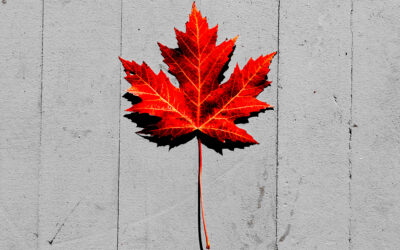 Showing My ColOUrs